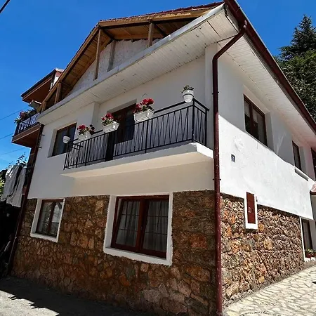 Villa Elena Ohrid Exteriör bild