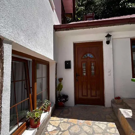 Villa Elena Ohrid Exteriör bild