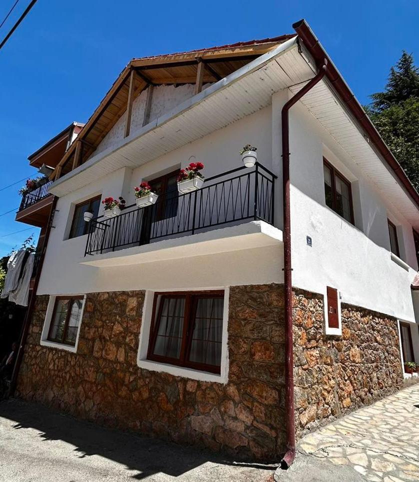 Elena Ohrid